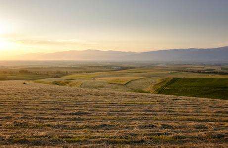 土壤墑情速測(cè)儀